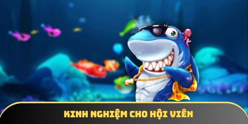 Bắn cá trực tuyến cùng DA88 – Trải nghiệm giải trí đỉnh cao - winstorm88.sbs Bắn cá trực tuyến cùng DA88 – Trải nghiệm giải trí đỉnh cao - winstorm88.sbs