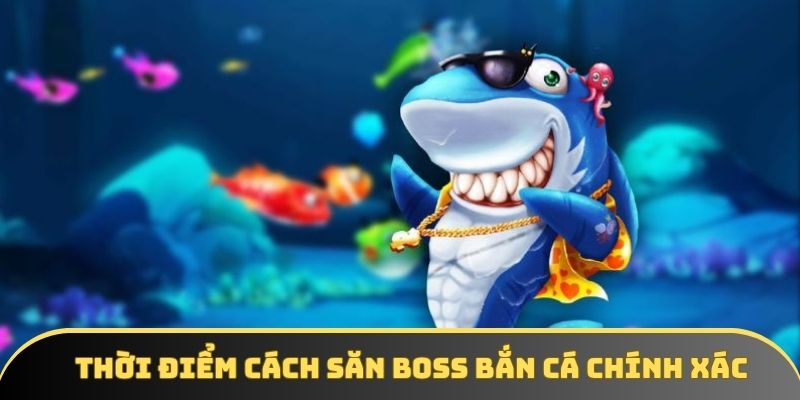 Cách săn boss bắn cá đơn giản và hiệu quả nhất 2026 - winstorm88.sbs Cách săn boss bắn cá đơn giản và hiệu quả nhất 2026 - winstorm88.sbs