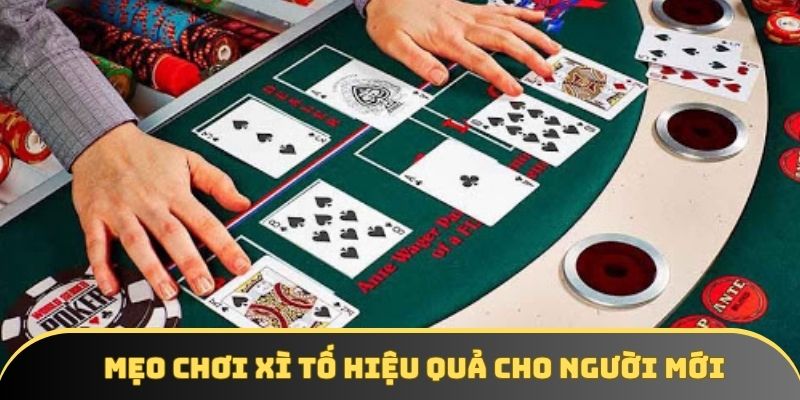 Hướng dẫn luật chơi Xì Tố - Game bài được săn đón hiện nay - winstorm88.sbs Hướng dẫn luật chơi Xì Tố - Game bài được săn đón hiện nay - winstorm88.sbs