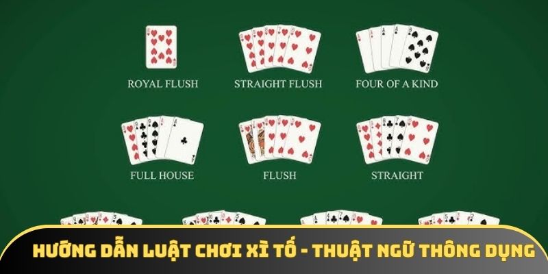 Hướng dẫn luật chơi Xì Tố - Game bài được săn đón hiện nay - winstorm88.sbs Hướng dẫn luật chơi Xì Tố - Game bài được săn đón hiện nay - winstorm88.sbs